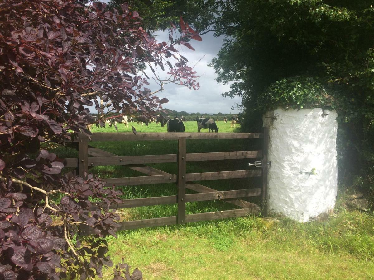 Tralia Farmhouse Self Catering Farranfore Kültér fotó